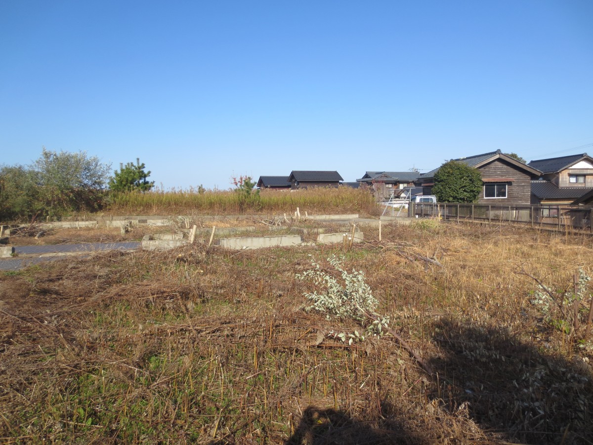 日本海を望む波松